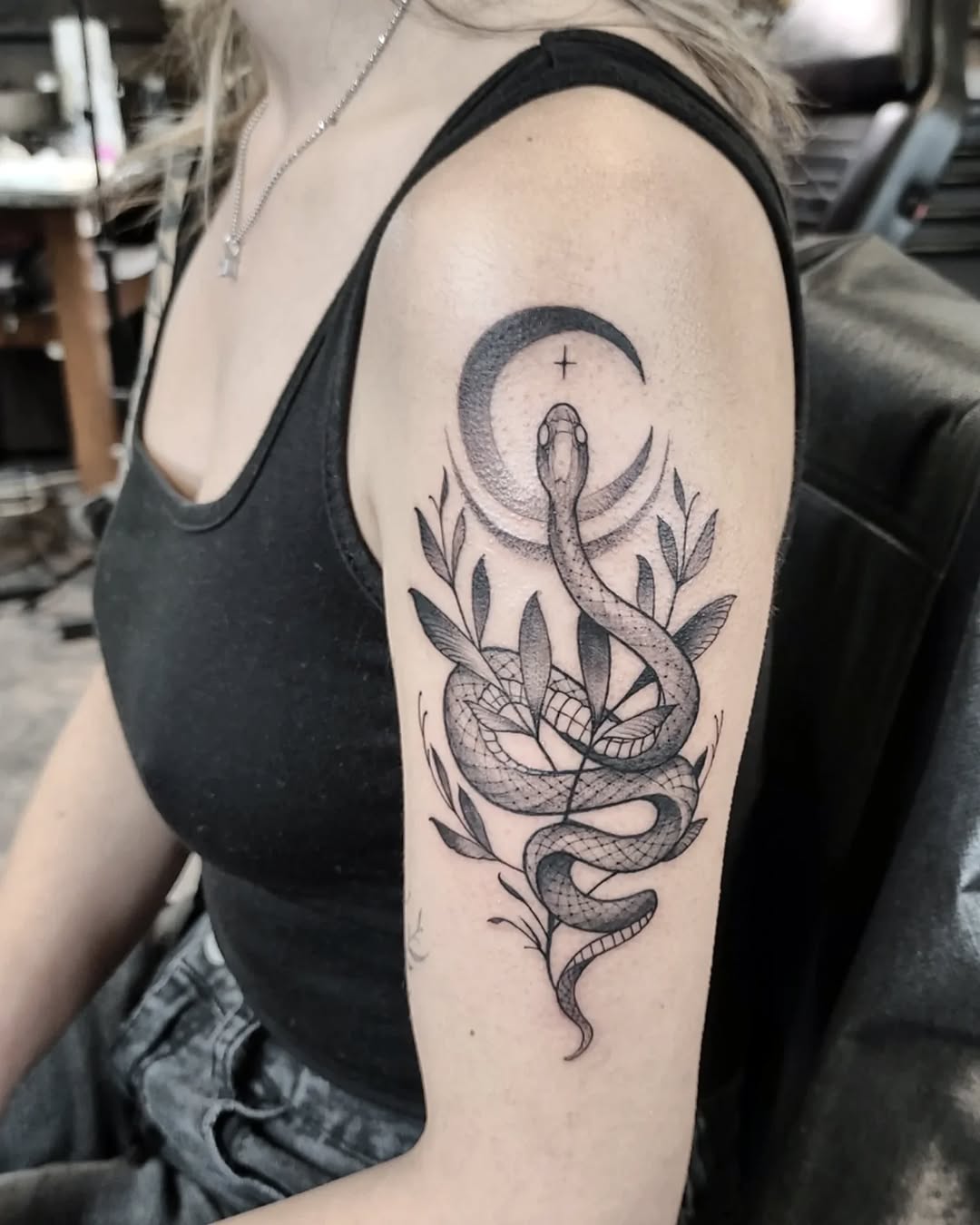 Animal, Dragon