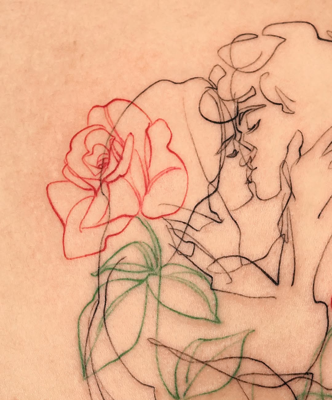 Rose, Nature, Flower