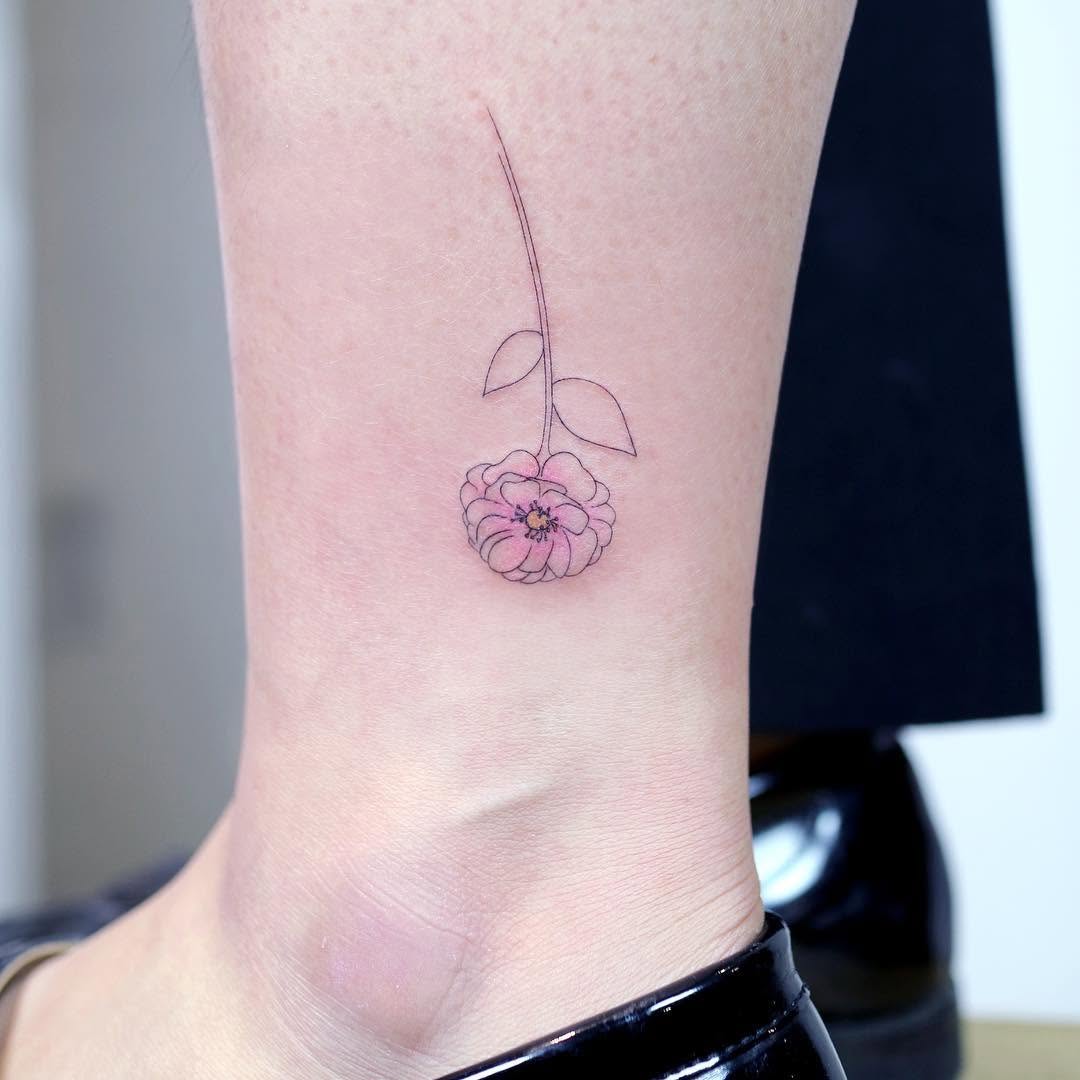 데이지, 민들레, Flower