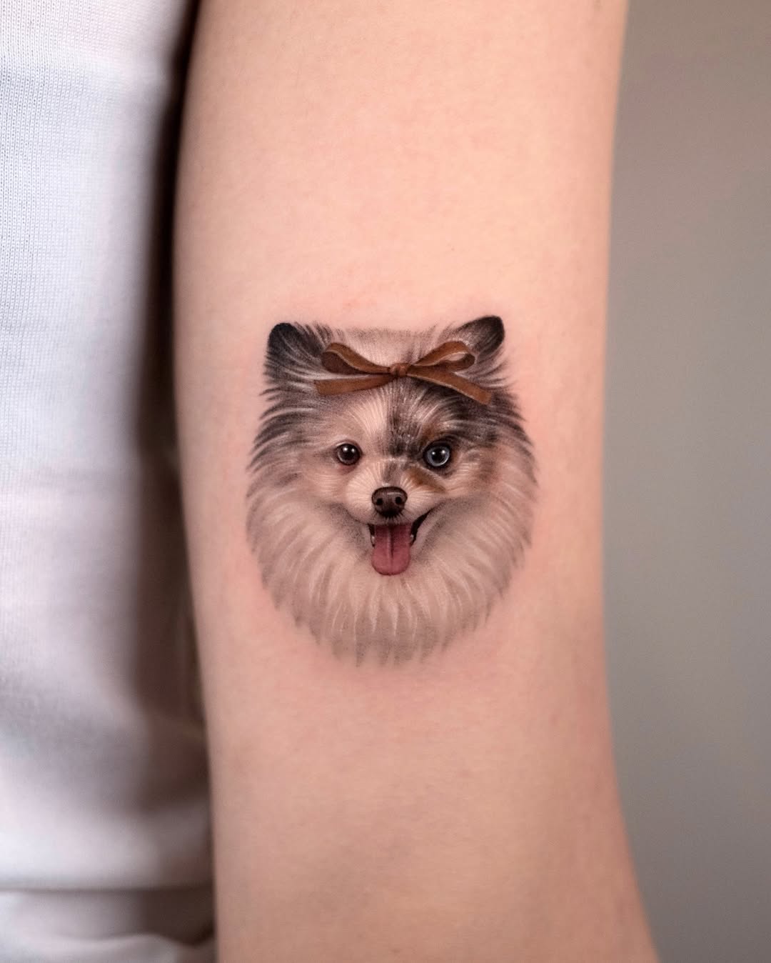 Animal
