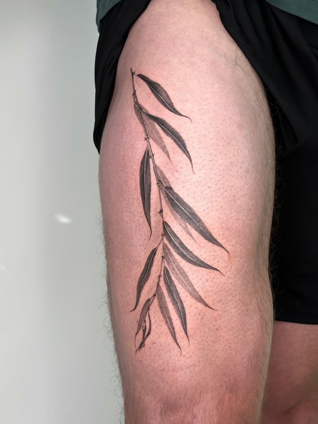 Flower, 풀, 잎, 대나무, 단풍잎