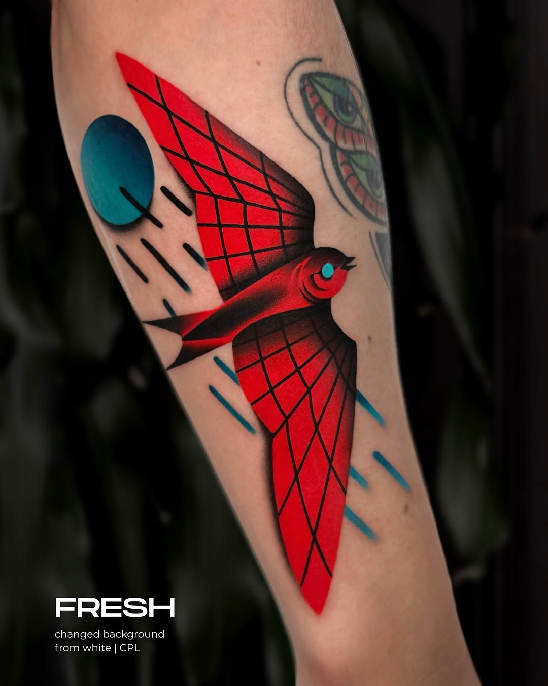 DARIA STAHP | COLOR TATTOO ARTIST