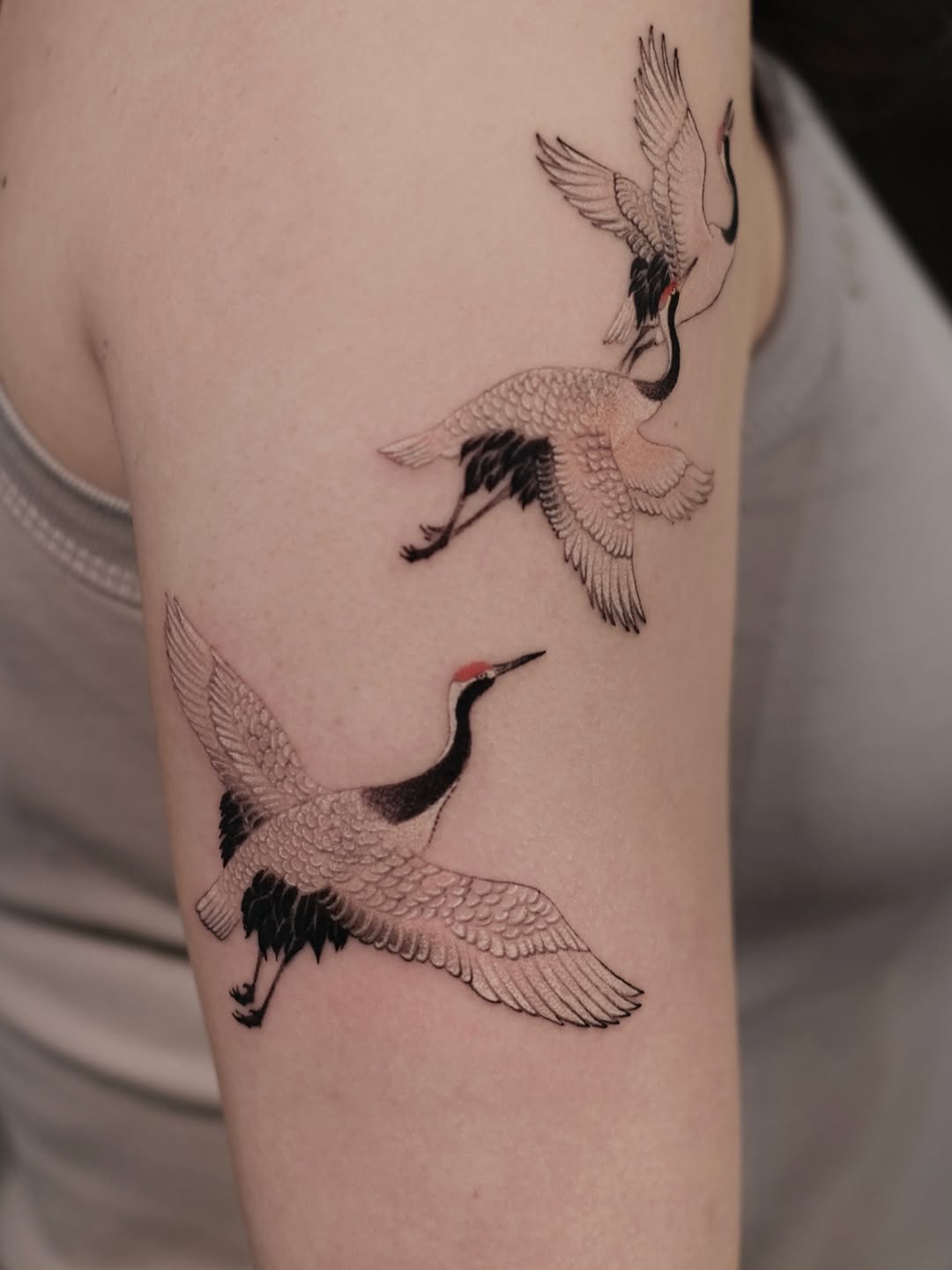 newtattoo_huanglu