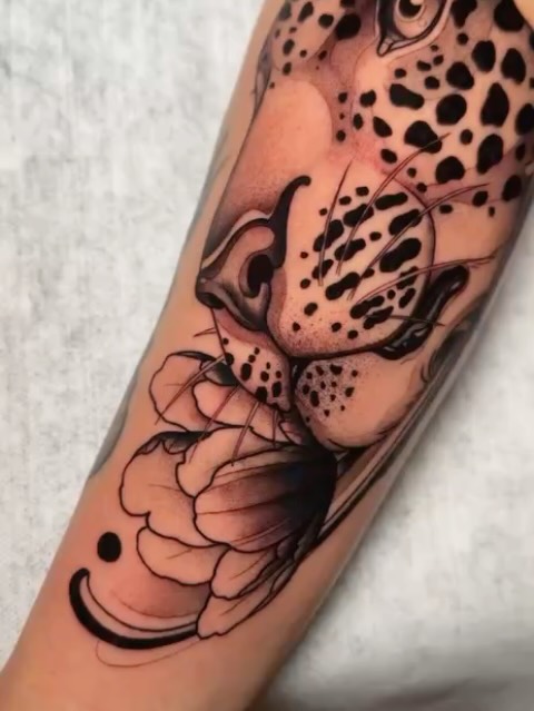 Tiger, Animal