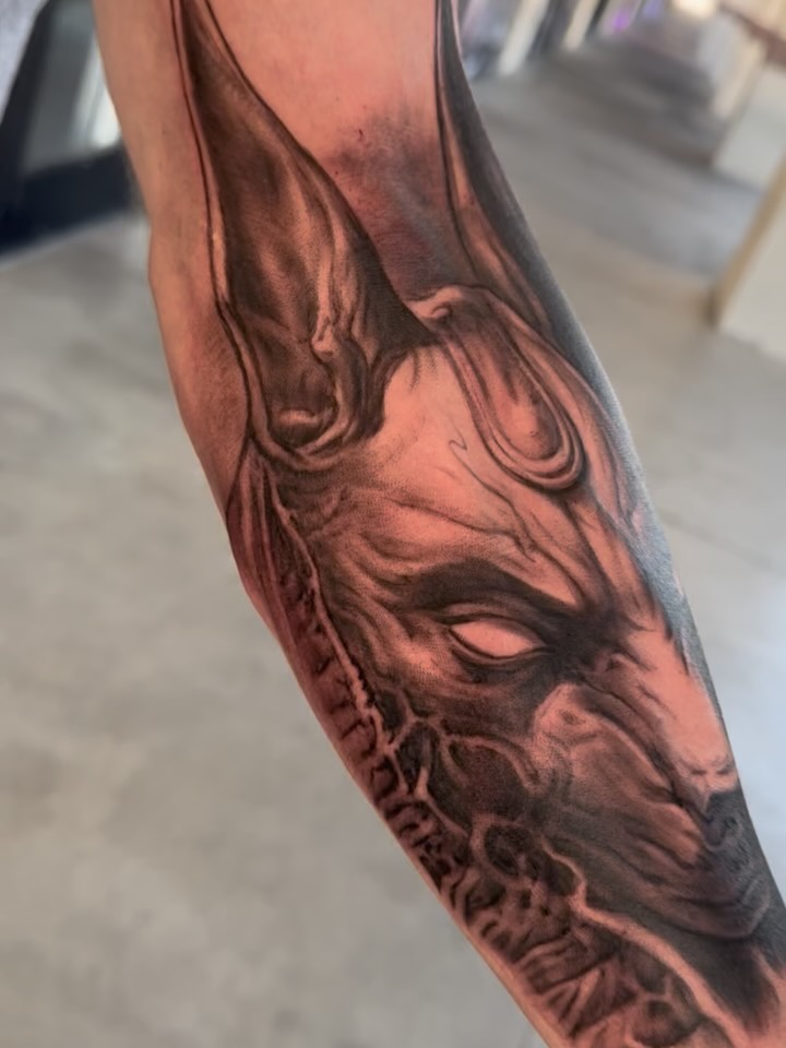 Animal, Tiger