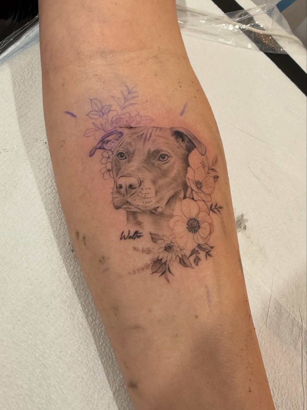 hnnhtattoo