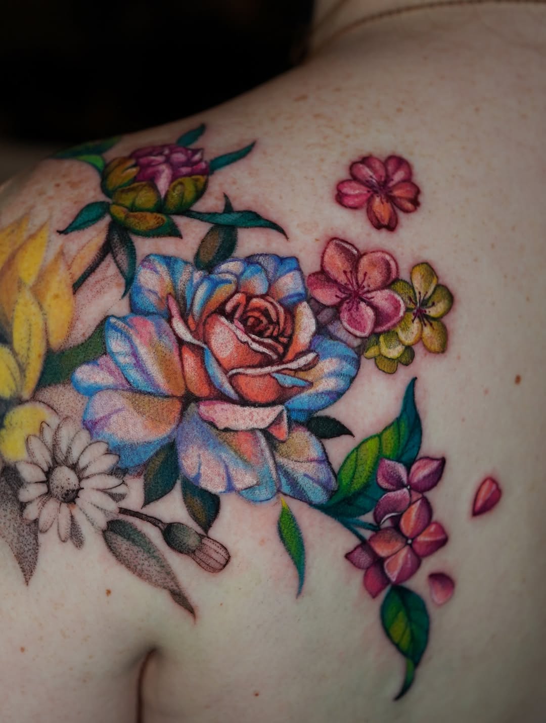 Flower, Rose, Nature