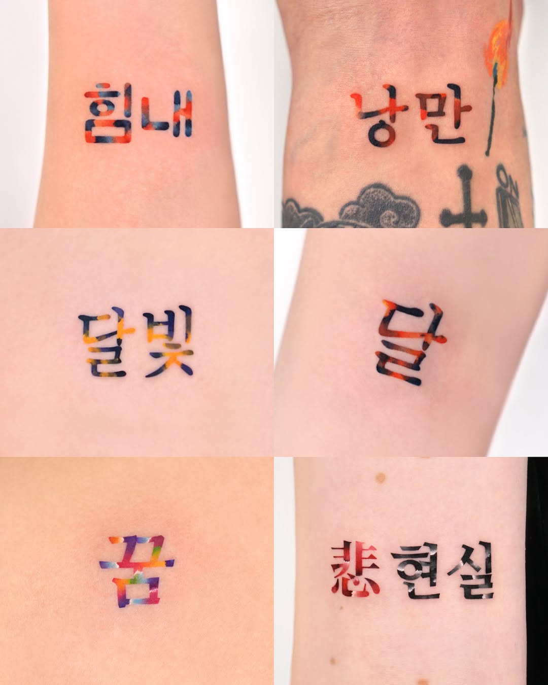 Nature, 나무, 소나무
