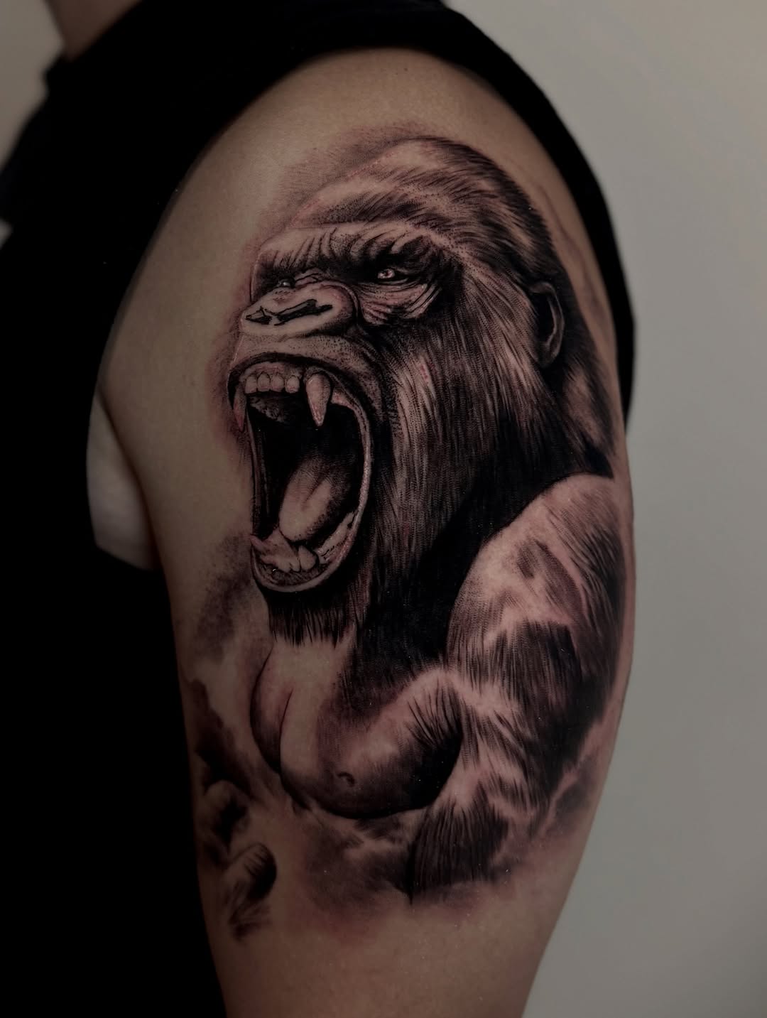 Tiger, Animal, 고릴라