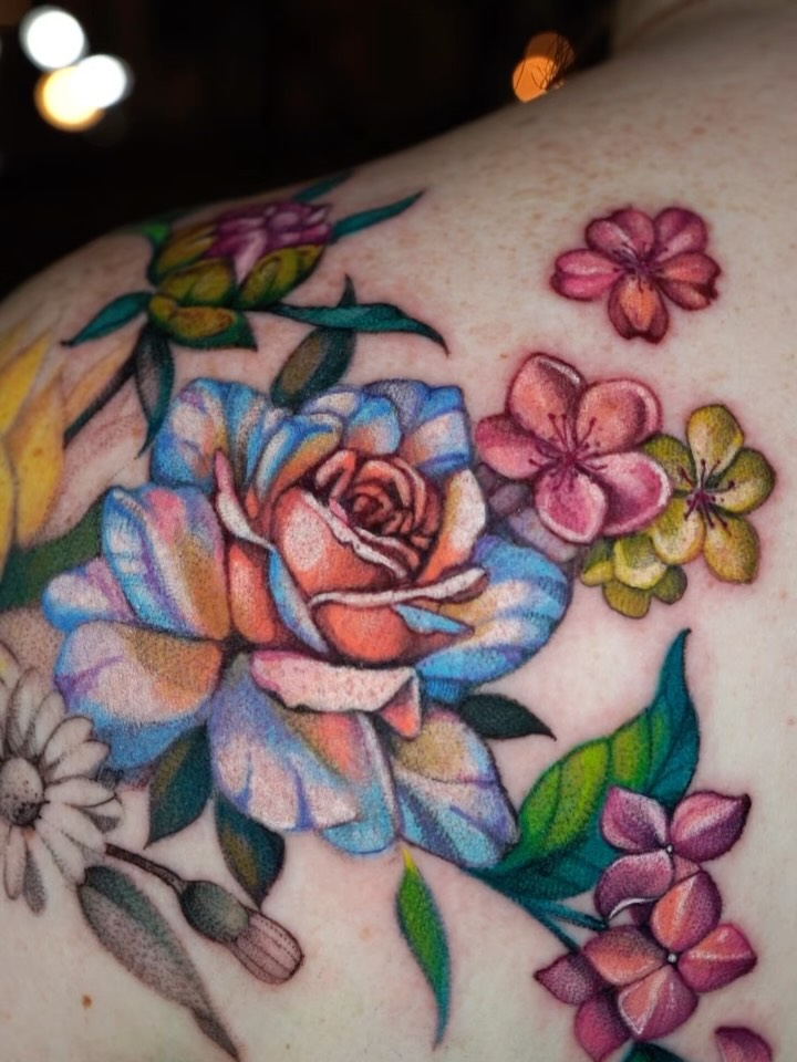 Flower, Rose, Nature