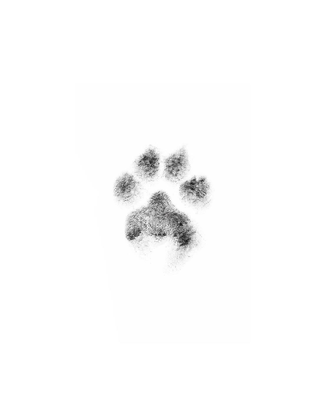발자국, Animal