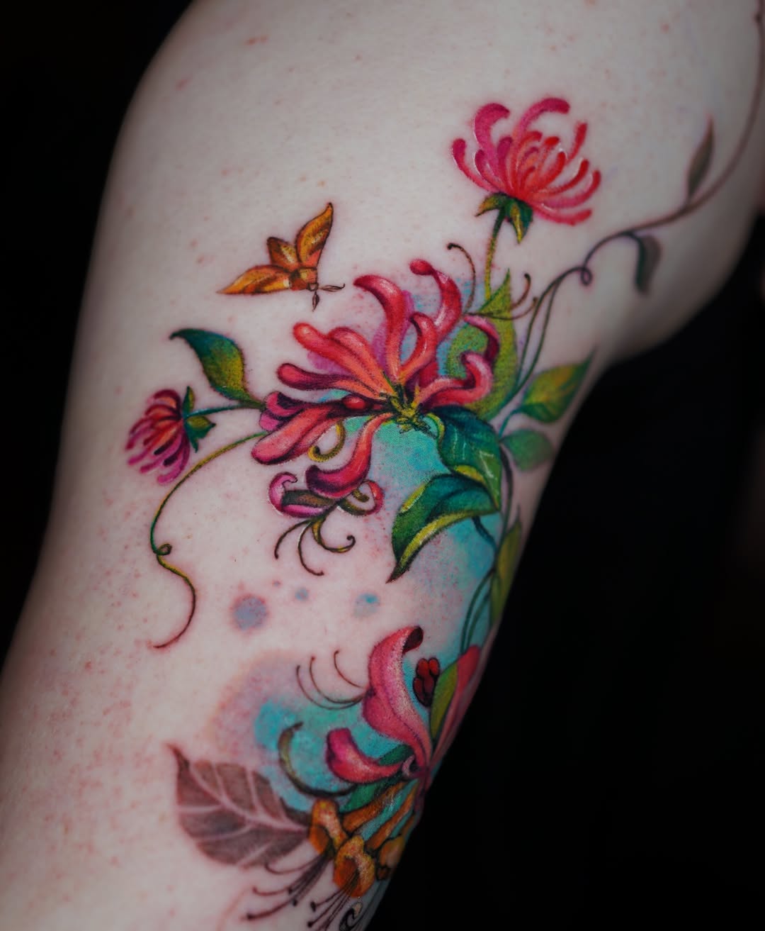 Flower, Rose