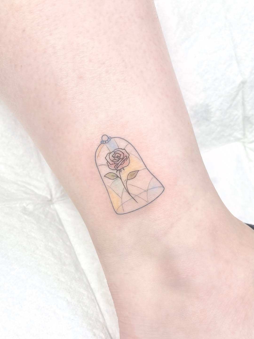 Flower, Nature, Rose
