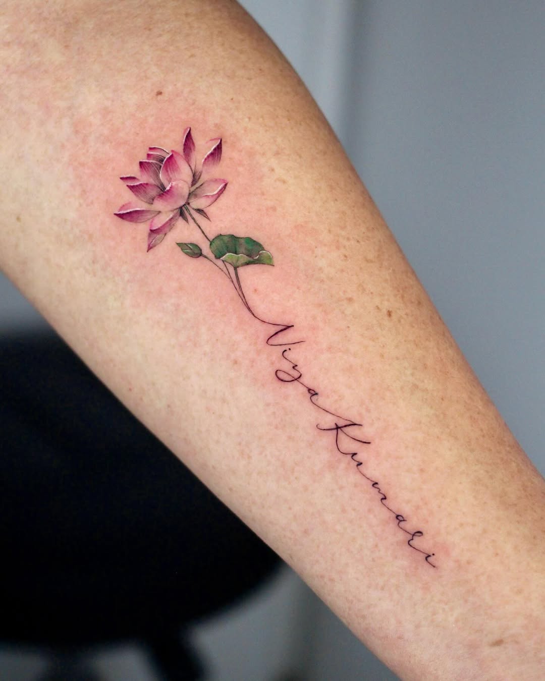 Flower, 매화, 목련, 벚꽃