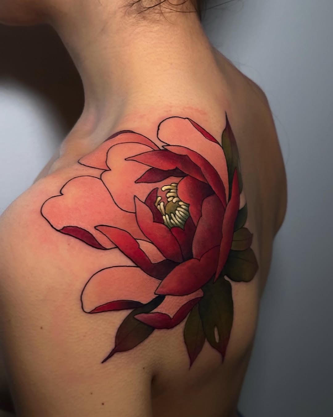 Flower, Rose, Nature