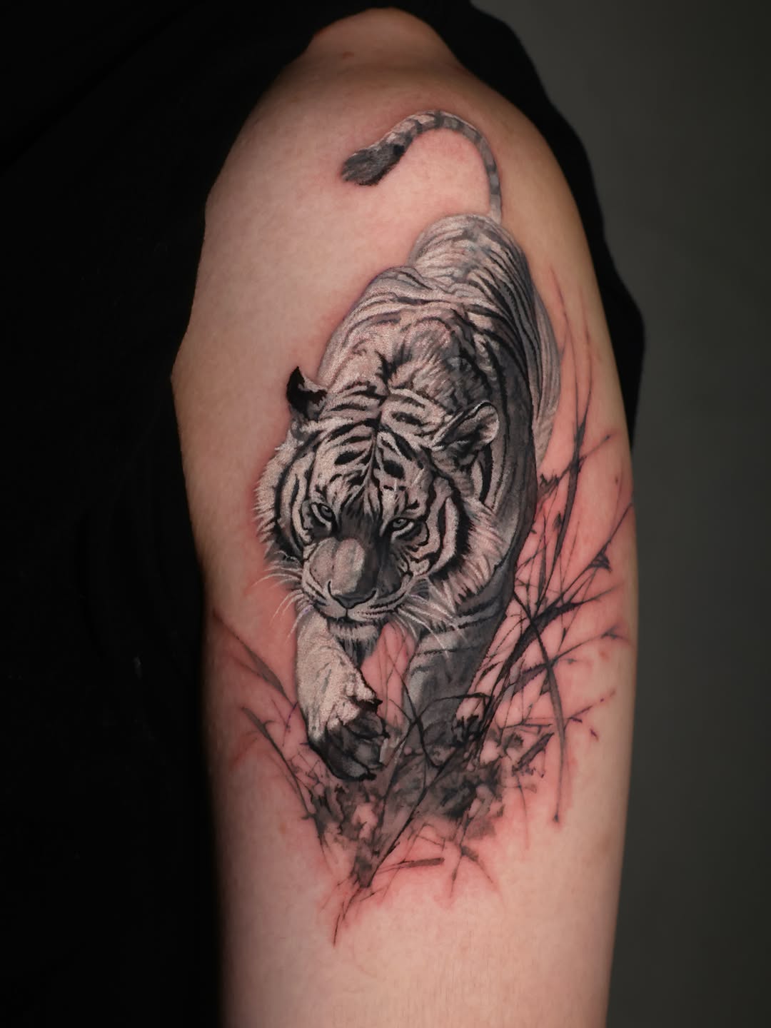 Tiger, 중국 호랑이