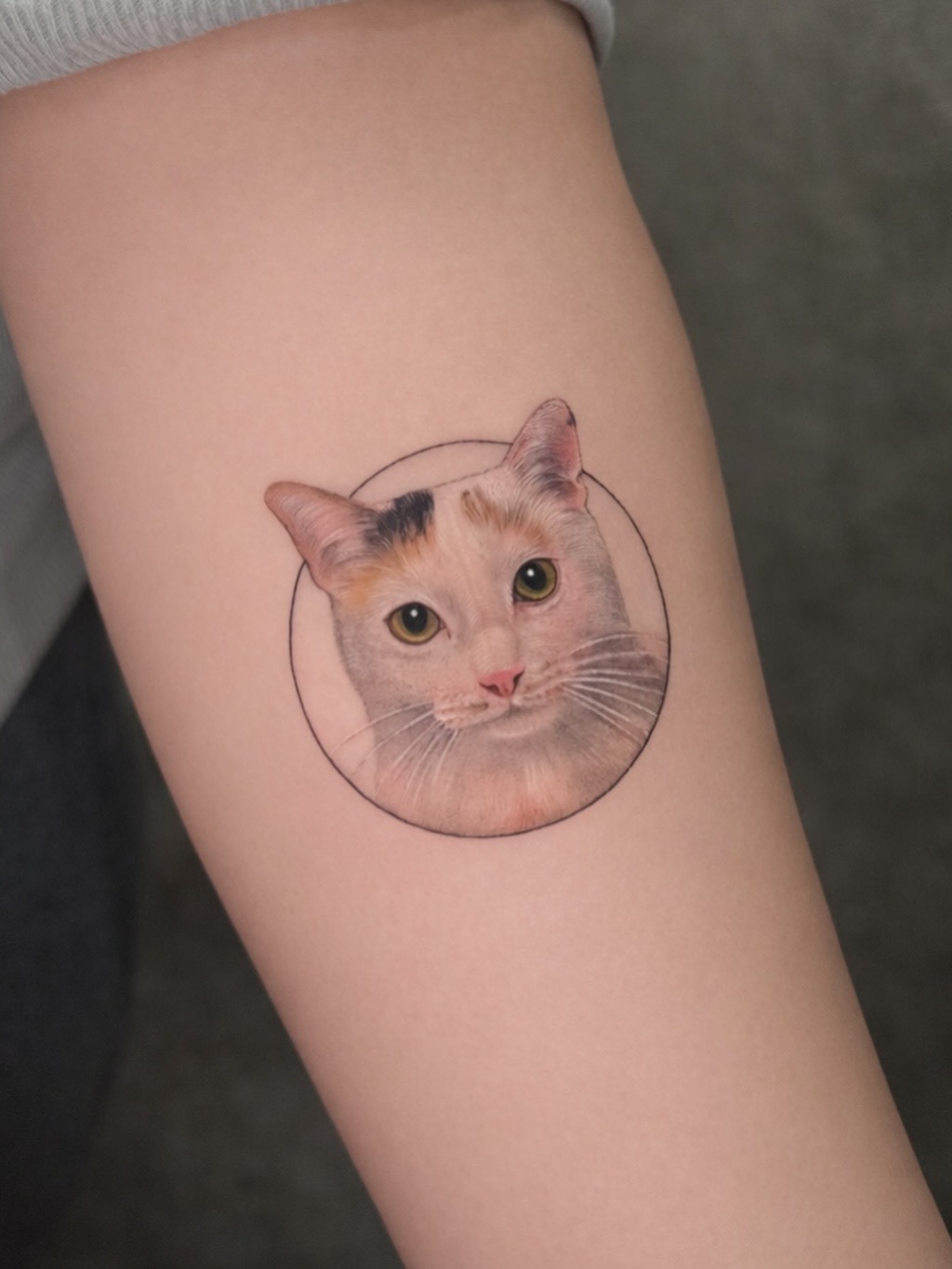 hnnhtattoo