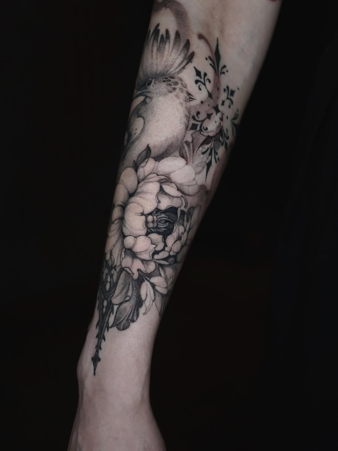 Flower, Rose