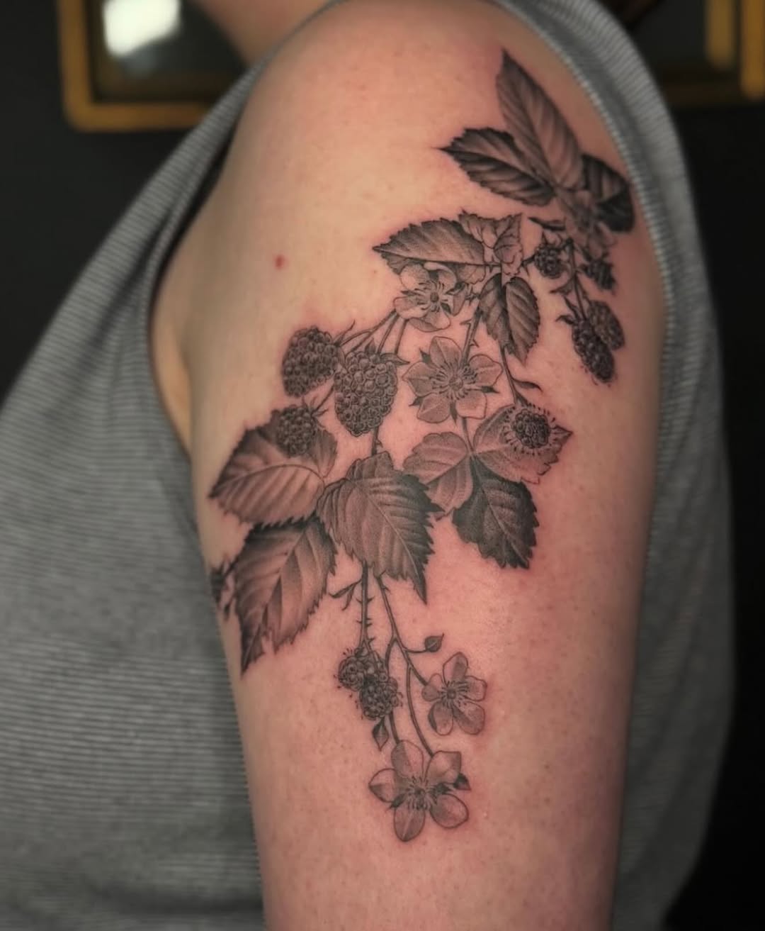 Flower, Rose, Nature