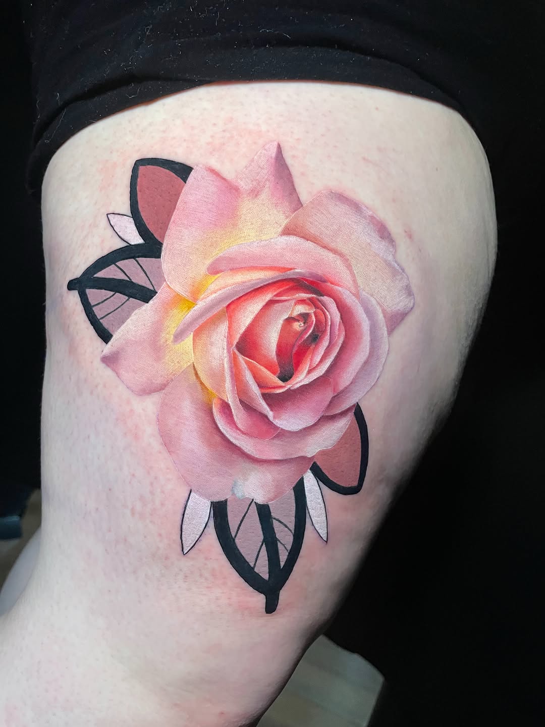 Rose, Flower