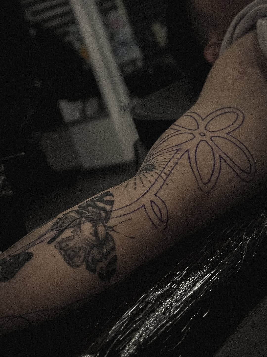 Domz
