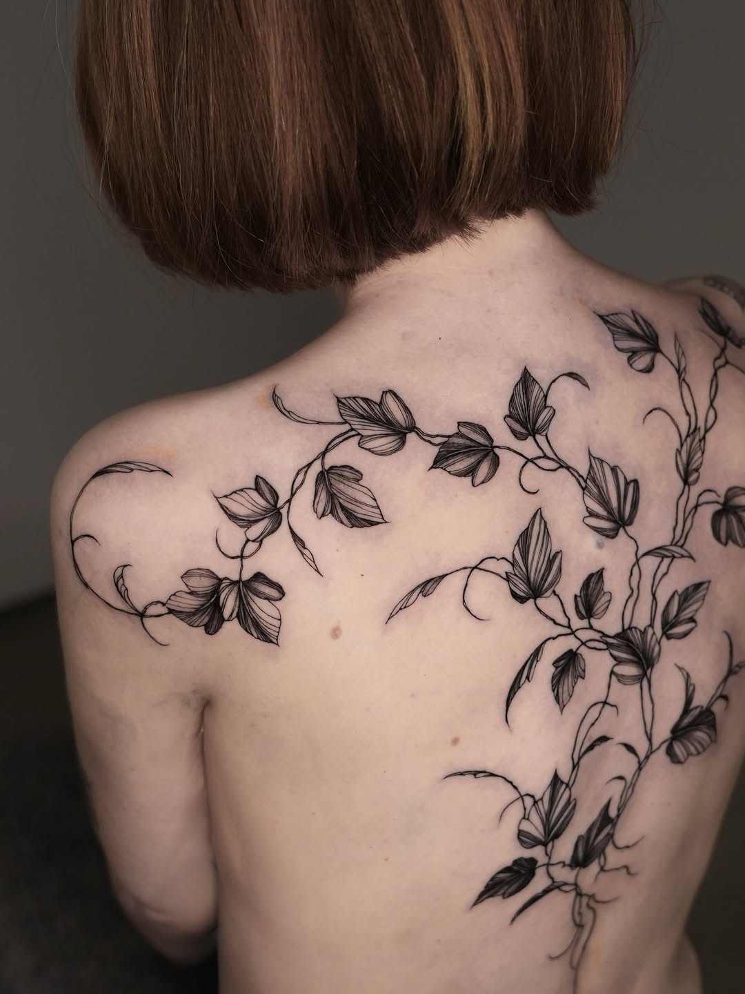 Nature, Rose, Flower