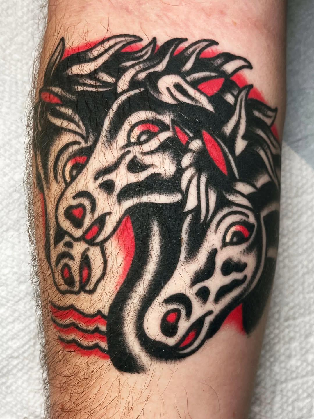 darius_cappelli