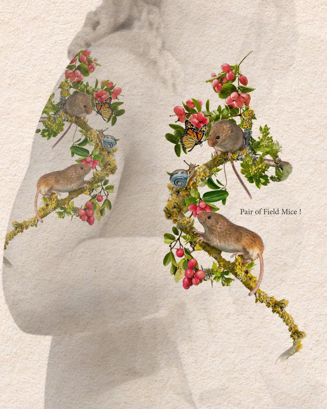 Flower, Animal