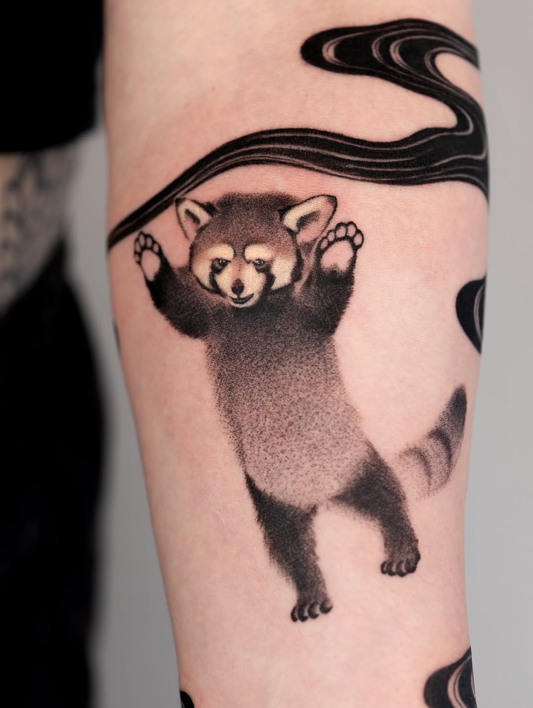 Animal