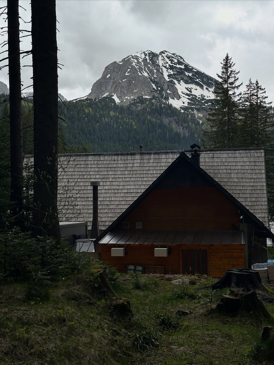 ILYA MEDVEDEV ✺ BLACKOUT TATTOO ✺ London - Belgrade