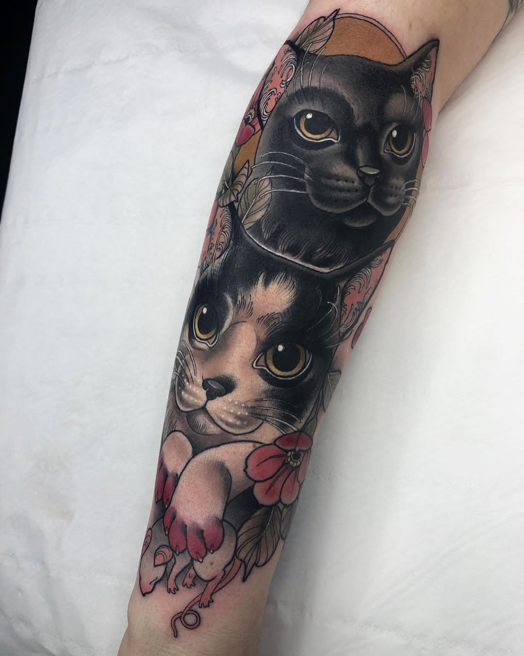 Animal, Tiger
