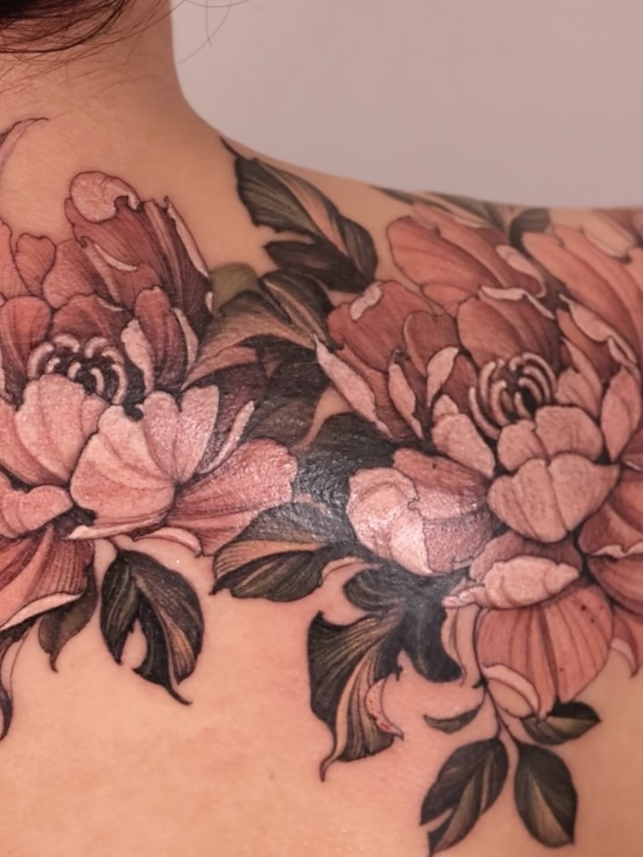 Flower, Rose, Nature