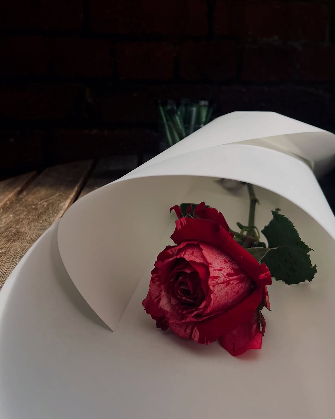 Flower, Rose, Nature