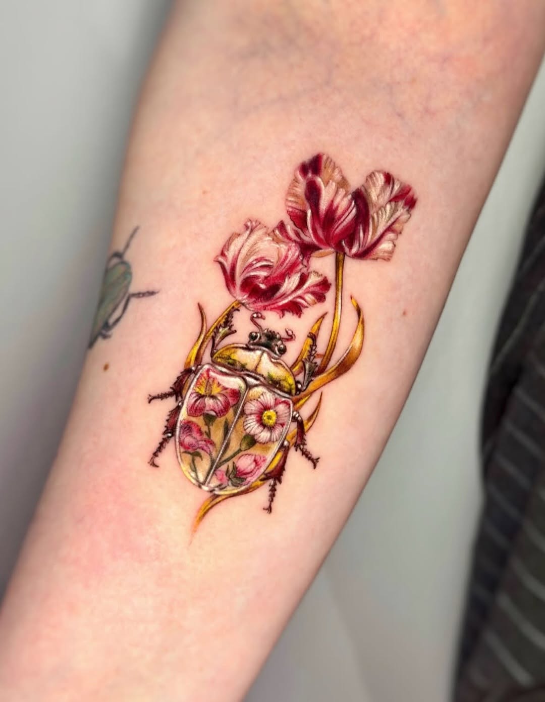 Flower, Rose, 과일, 석류, 딸기