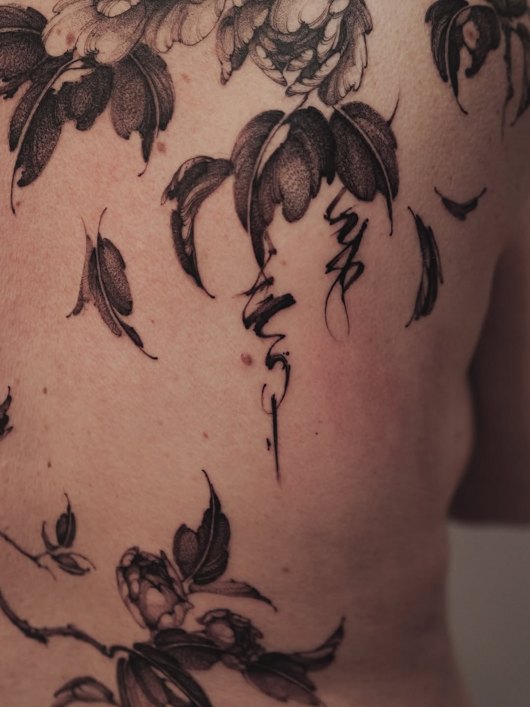 Flower, Nature, Rose