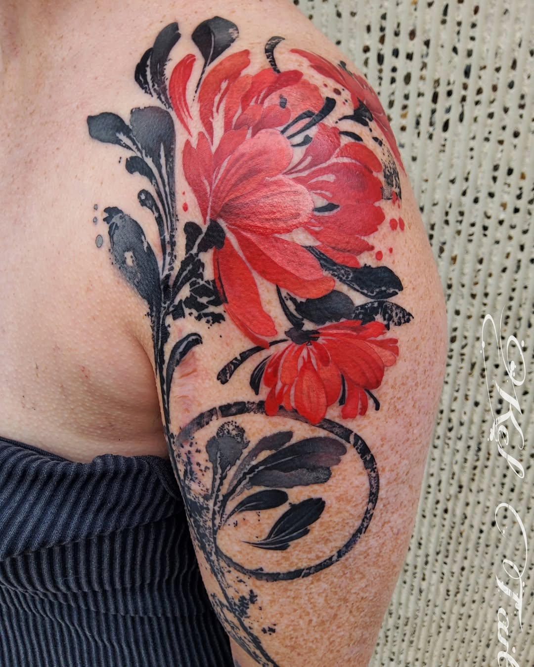 Flower, Rose, Nature