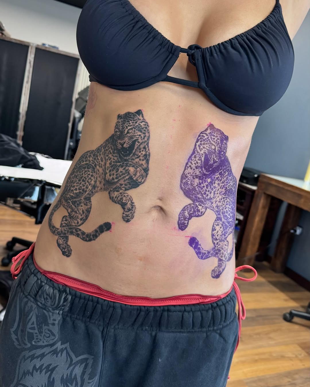 Tiger, Animal, 표범, 재규어, 치타