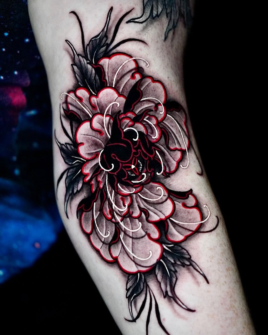 Flower, Rose, Nature