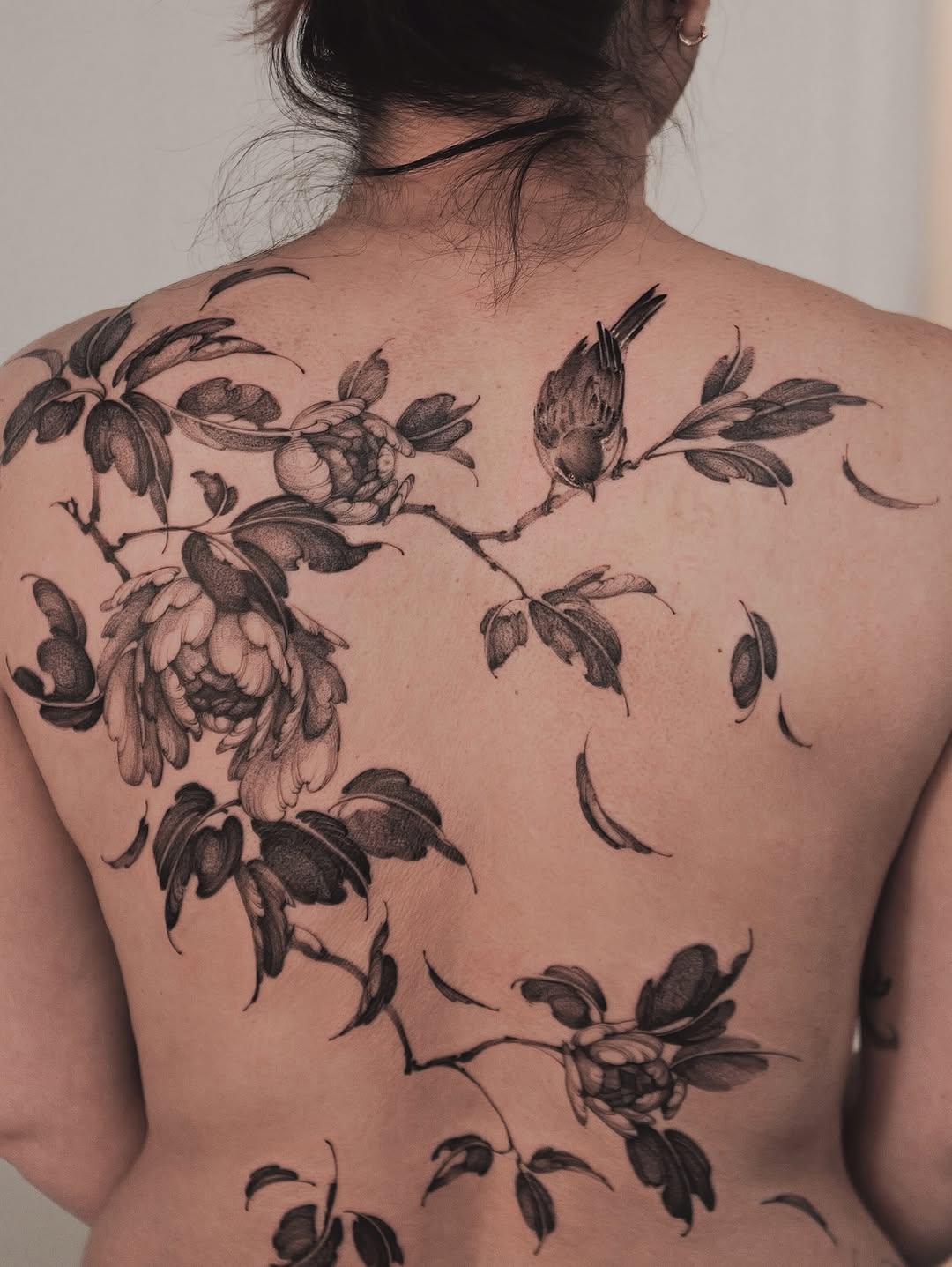 Flower, Nature, Rose