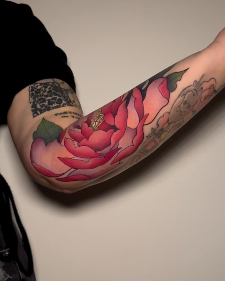 Rose, Flower