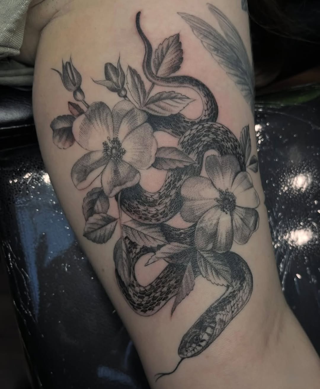 Flower, Rose, Nature