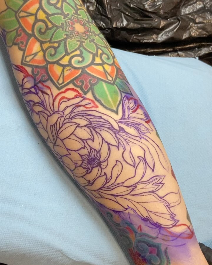 Flower, Rose