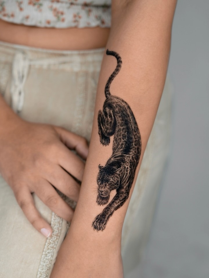 Animal, 표범, 재규어, 치타