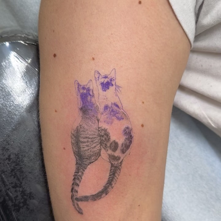 circatattoo