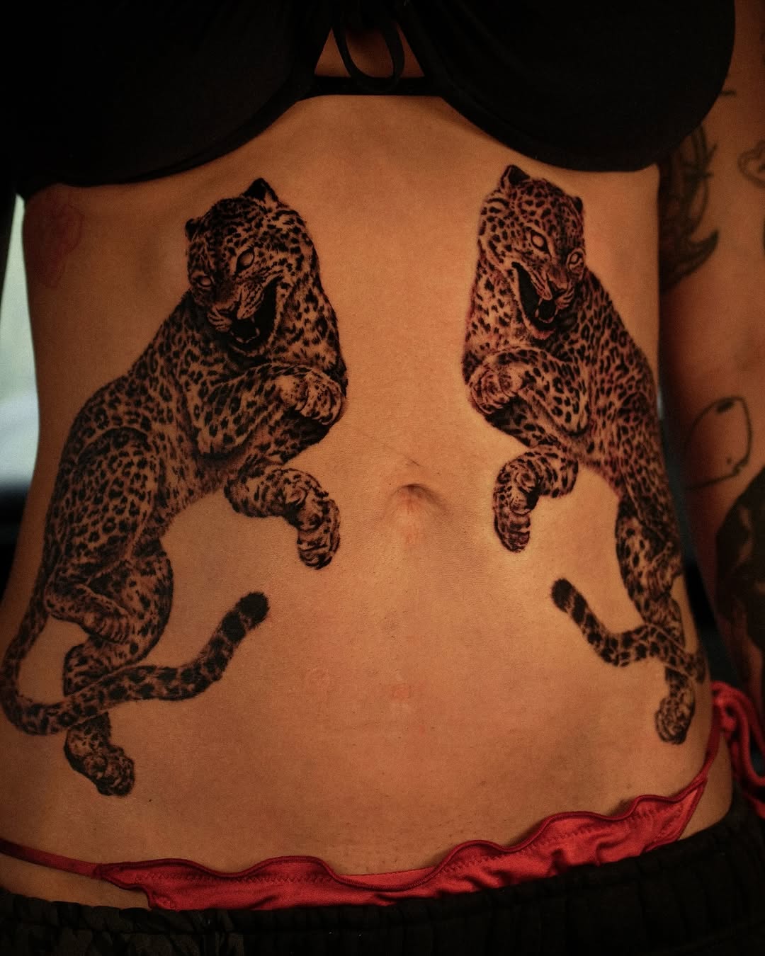 Tiger, Animal, 표범, 재규어, 치타