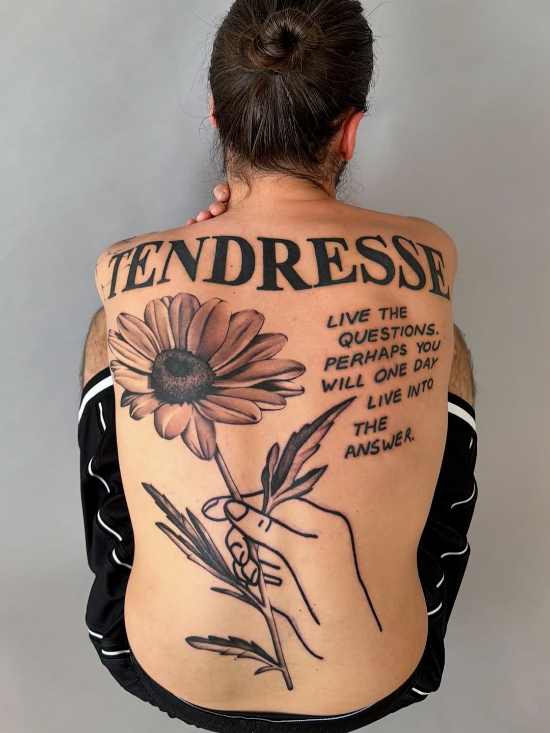 Flower, Nature, Rose