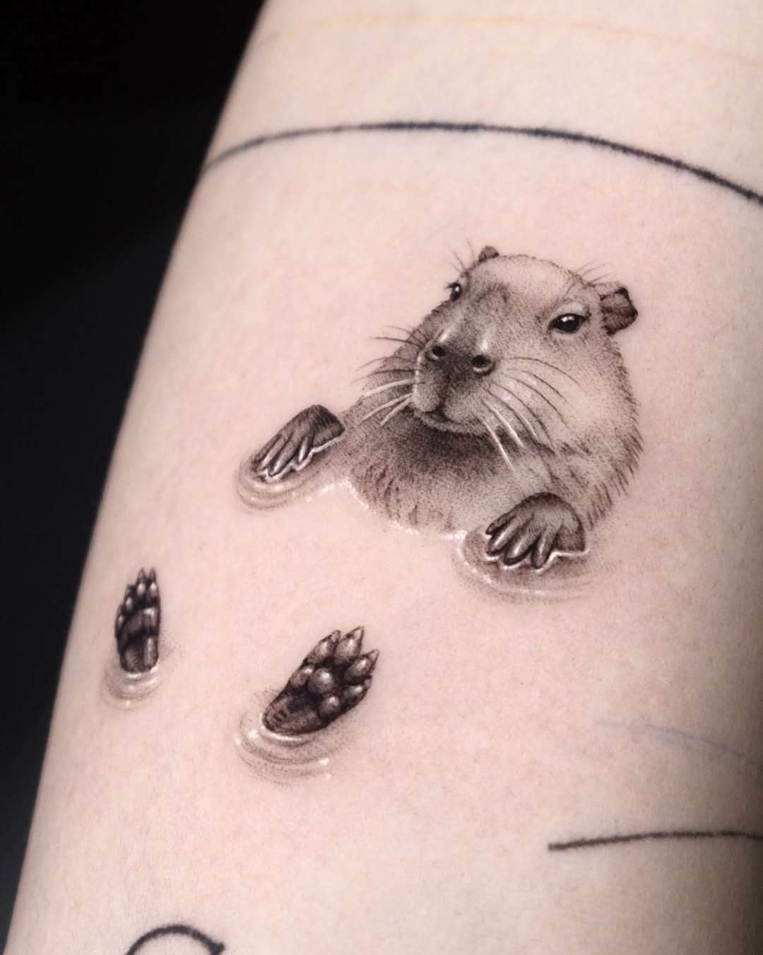 Animal
