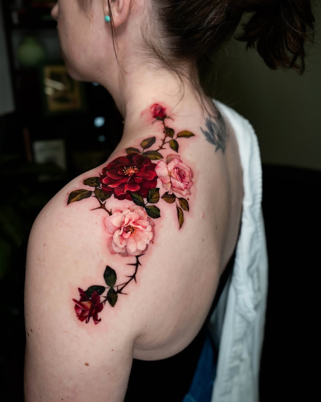 Flower, Rose, Nature