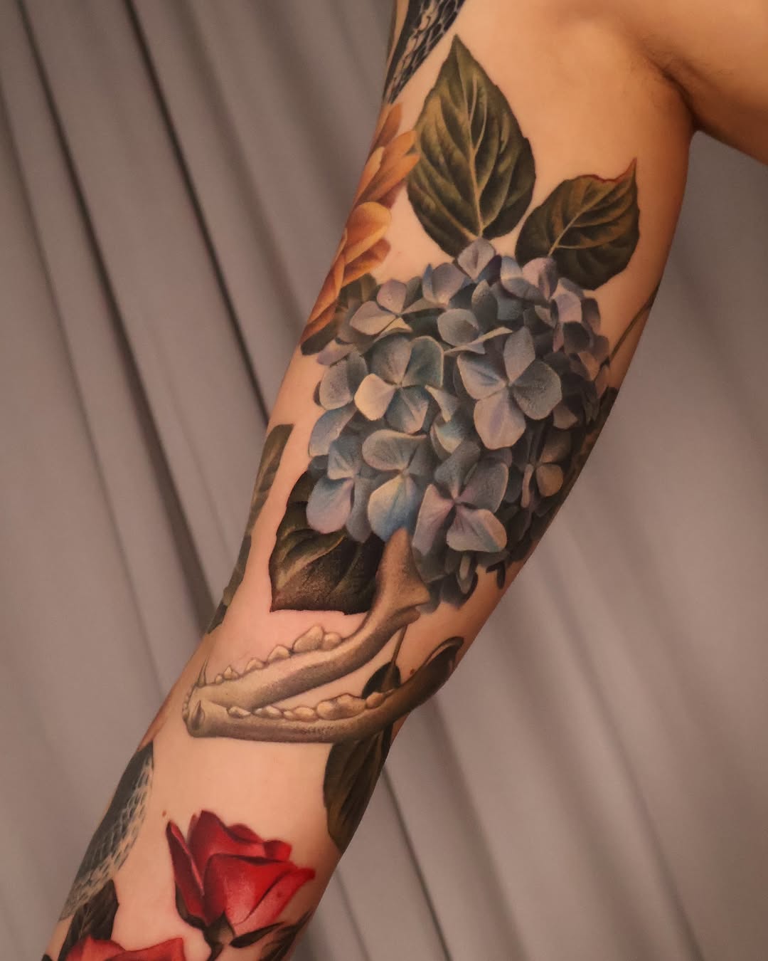 Flower, Rose