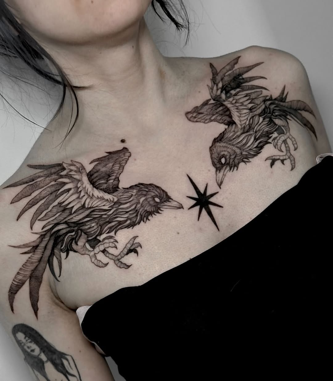 Animal